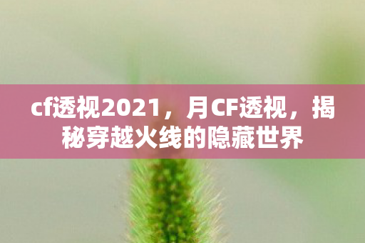 cf透视2021，月CF透视，揭秘穿越火线的隐藏世界