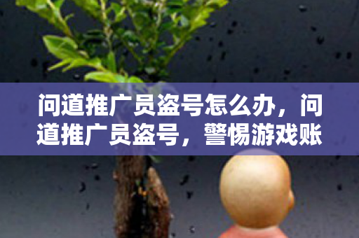 问道推广员盗号怎么办，问道推广员盗号，警惕游戏账号安全的隐形威胁
