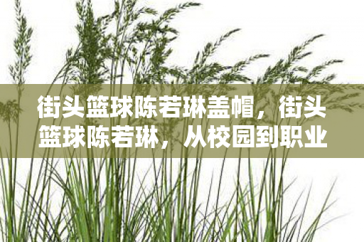 街头篮球陈若琳盖帽，街头篮球陈若琳，从校园到职业，她的篮球之路