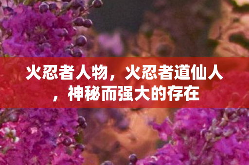 火忍者人物，火忍者道仙人，神秘而强大的存在
