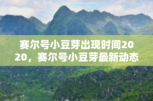 赛尔号小豆芽出现时间2020，赛尔号小豆芽最新动态，何时再现？