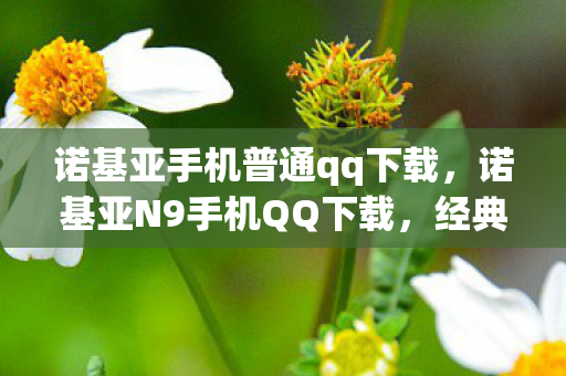 诺基亚手机普通qq下载，诺基亚N9手机QQ下载，经典重温，回忆再现