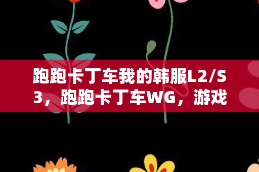 跑跑卡丁车我的韩服L2/S3，跑跑卡丁车WG，游戏外挂背后的灰色地带