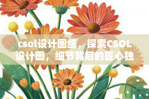 csol设计图纸，探索CSOL设计图，细节背后的匠心独运