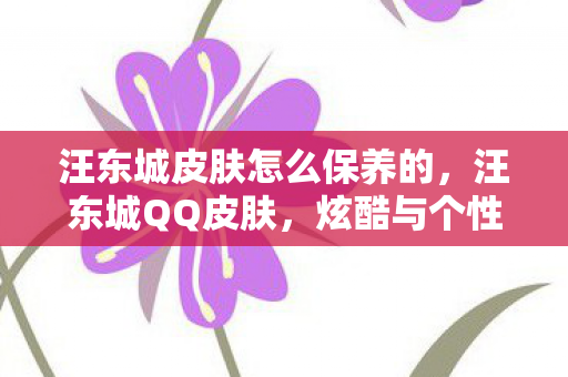 汪东城皮肤怎么保养的，汪东城QQ皮肤，炫酷与个性的完美结合