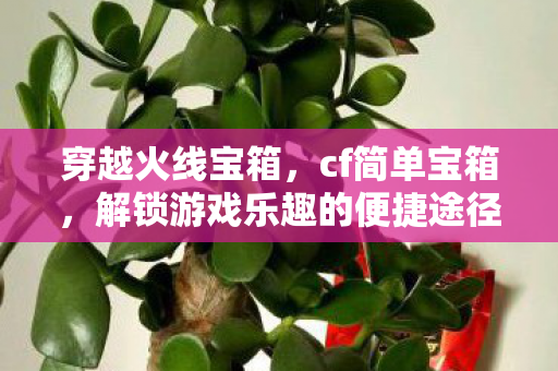 穿越火线宝箱，cf简单宝箱，解锁游戏乐趣的便捷途径
