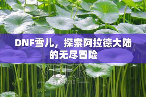 DNF雪儿，探索阿拉德大陆的无尽冒险