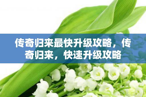 传奇归来最快升级攻略，传奇归来，快速升级攻略