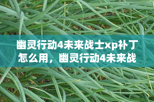 幽灵行动4未来战士xp补丁怎么用，幽灵行动4未来战士xp补丁，提升游戏体验的必备神器