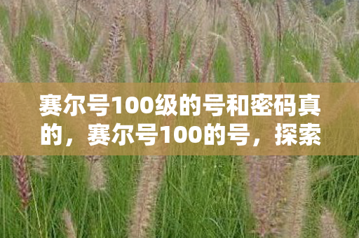 赛尔号100级的号和密码真的，赛尔号100的号，探索无限可能的精灵养成之旅