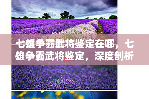 七雄争霸武将鉴定在哪，七雄争霸武将鉴定，深度剖析武将属性，打造无敌阵容