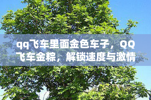 qq飞车里面金色车子，QQ飞车金粽，解锁速度与激情的终极秘诀