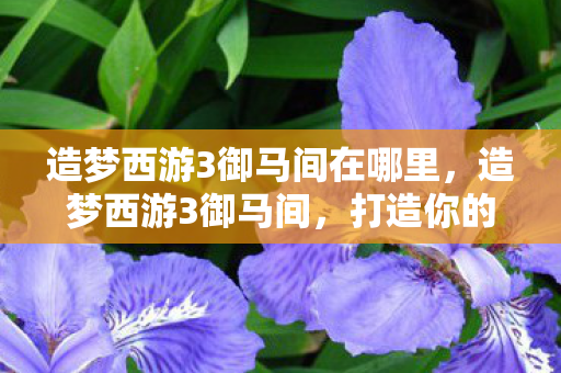 造梦西游3御马间在哪里，造梦西游3御马间，打造你的专属西游之旅
