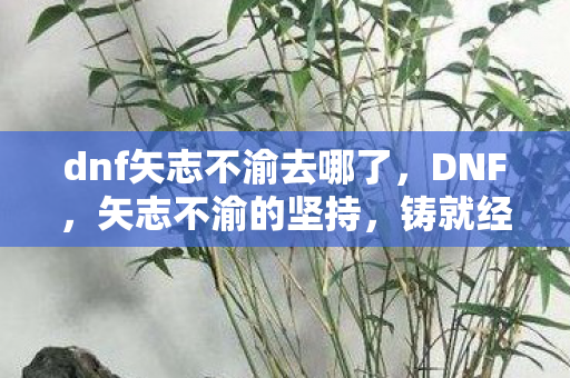 dnf矢志不渝去哪了，DNF，矢志不渝的坚持，铸就经典游戏之魂