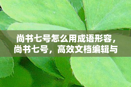 尚书七号怎么用成语形容，尚书七号，高效文档编辑与转换的实用指南