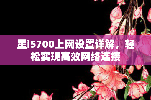 星i5700上网设置详解，轻松实现高效网络连接