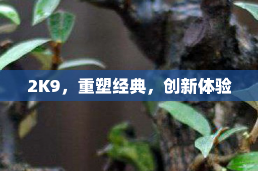 2K9，重塑经典，创新体验
