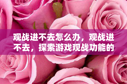 观战进不去怎么办，观战进不去，探索游戏观战功能的限制与解决方案