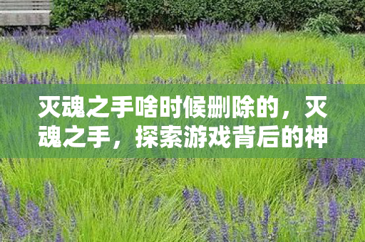 灭魂之手啥时候删除的，灭魂之手，探索游戏背后的神秘力量
