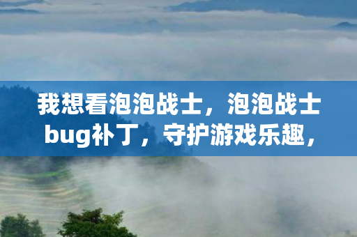 我想看泡泡战士，泡泡战士bug补丁，守护游戏乐趣，修复细节问题