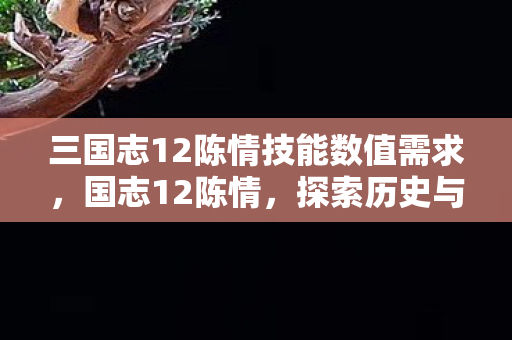 三国志12陈情技能数值需求，国志12陈情，探索历史与策略的完美融合