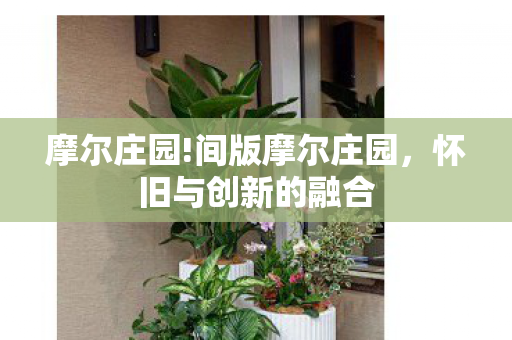 摩尔庄园!间版摩尔庄园，怀旧与创新的融合