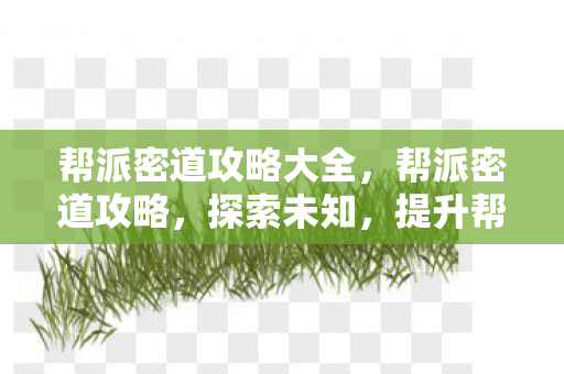 帮派密道攻略大全，帮派密道攻略，探索未知，提升帮派实力