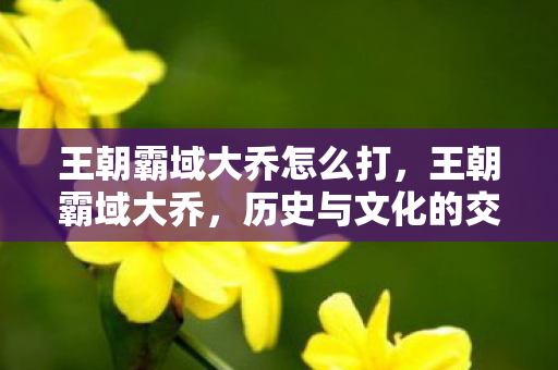 王朝霸域大乔怎么打，王朝霸域大乔，历史与文化的交汇点