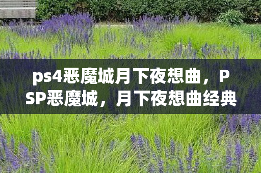ps4恶魔城月下夜想曲，PSP恶魔城，月下夜想曲经典重燃，掌中恶魔城再续传奇