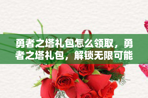 勇者之塔礼包怎么领取，勇者之塔礼包，解锁无限可能的冒险之旅