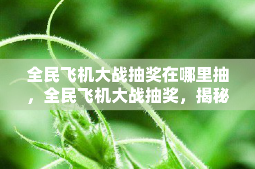 全民飞机大战抽奖在哪里抽，全民飞机大战抽奖，揭秘幸运背后的秘密