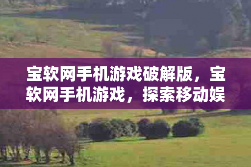 宝软网手机游戏破解版，宝软网手机游戏，探索移动娱乐的新边界