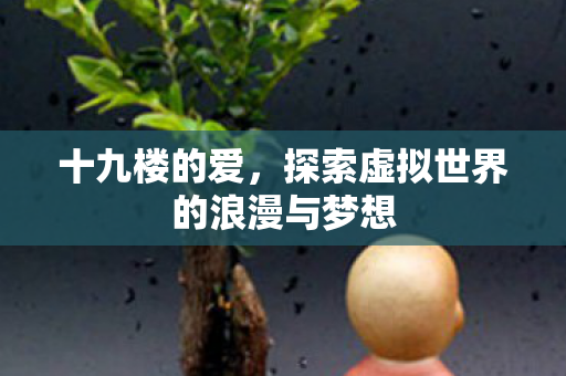 十九楼的爱，探索虚拟世界的浪漫与梦想