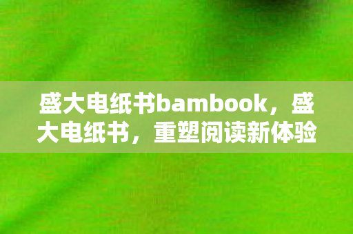盛大电纸书bambook，盛大电纸书，重塑阅读新体验