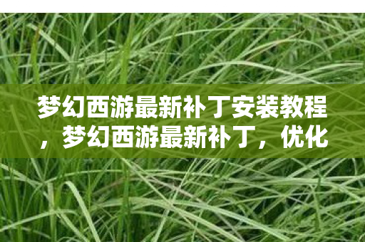 梦幻西游最新补丁安装教程，梦幻西游最新补丁，优化游戏体验，提升游戏安全
