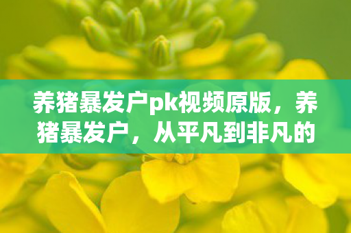 养猪暴发户pk视频原版，养猪暴发户，从平凡到非凡的财富传奇