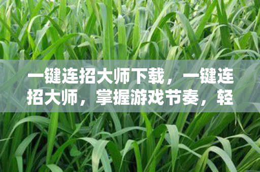 一键连招大师下载，一键连招大师，掌握游戏节奏，轻松制胜
