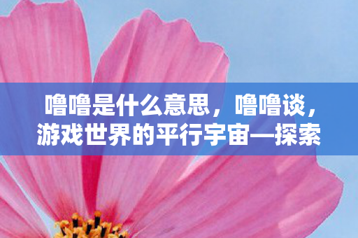 噜噜是什么意思，噜噜谈，游戏世界的平行宇宙—探索官方与私服的不同游戏体验