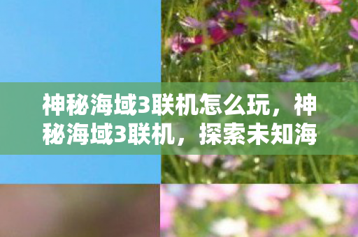 神秘海域3联机怎么玩，神秘海域3联机，探索未知海域的极致体验