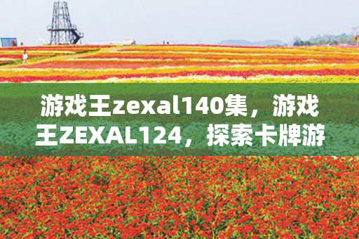 游戏王zexal140集，游戏王ZEXAL124，探索卡牌游戏的深度与广度