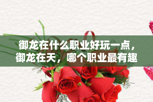 御龙在什么职业好玩一点，御龙在天，哪个职业最有趣？