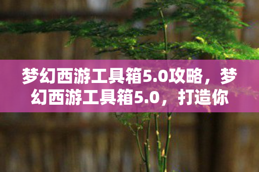 梦幻西游工具箱5.0攻略，梦幻西游工具箱5.0，打造你的专属游戏助手
