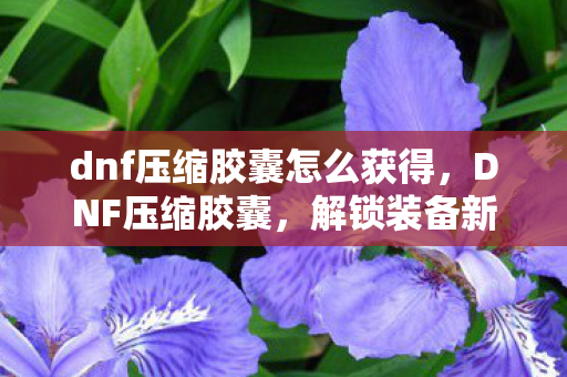 dnf压缩胶囊怎么获得，DNF压缩胶囊，解锁装备新境界的神奇道具