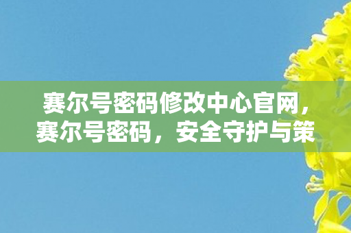 赛尔号密码修改中心官网，赛尔号密码，安全守护与策略建议