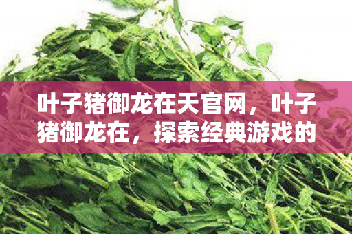 叶子猪御龙在天官网，叶子猪御龙在，探索经典游戏的魅力与传承