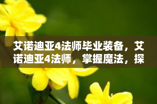艾诺迪亚4法师毕业装备，艾诺迪亚4法师，掌握魔法，探索未知