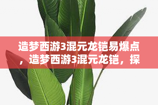 造梦西游3混元龙铠易爆点，造梦西游3混元龙铠，探寻游戏中的传奇装备