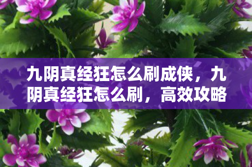 九阴真经狂怎么刷成侠，九阴真经狂怎么刷，高效攻略与策略分享