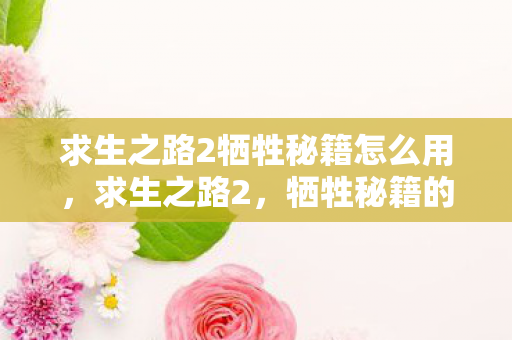 求生之路2牺牲秘籍怎么用，求生之路2，牺牲秘籍的终极指南