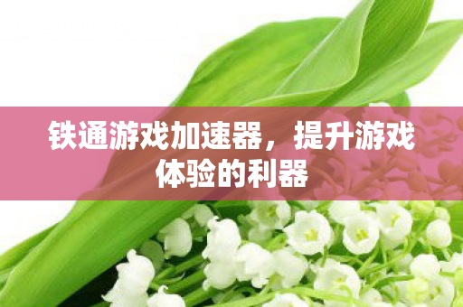 铁通游戏加速器，提升游戏体验的利器